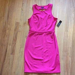 NWT Pink Heart Cut-Out Dress